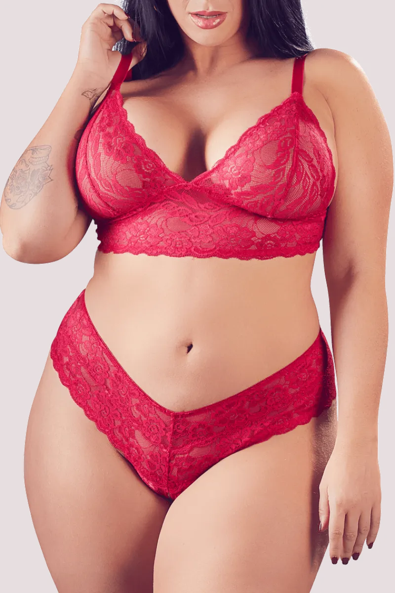 Cottelli Collection Plus Size Reizwäsche Sets * Ouvert Dessous Set rot Plus Size