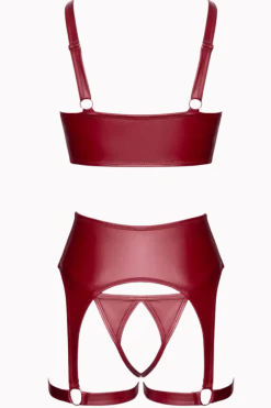 Cottelli Collection Reizwäsche Sets|Kinky * Ouvert Mattlook-Set in Bordeauxrot