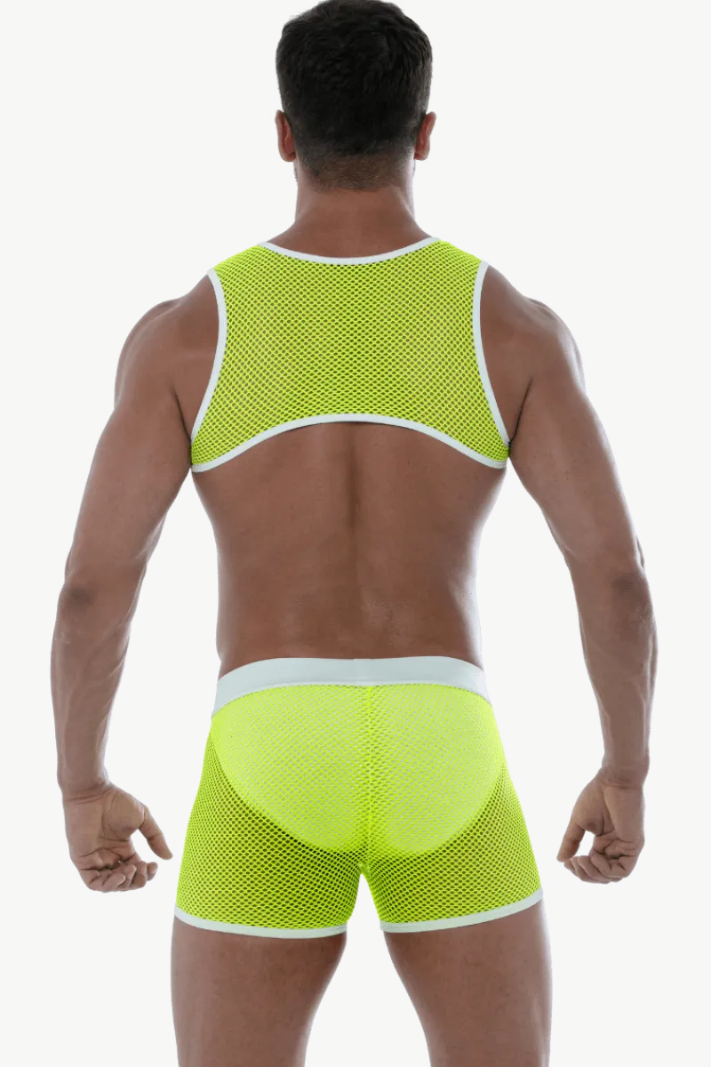 TOF PARIS Neon Dessous|Harness * chuter-Harne neongeb